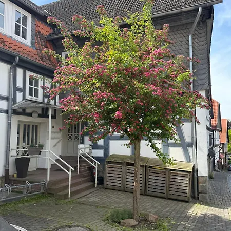 Apartment Im Erdgeschoss Mit Balkon Und Parkplatz *